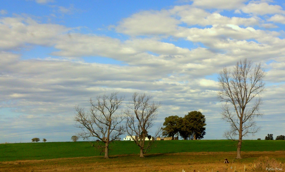 "Por la ruta II" de Pablo Pose