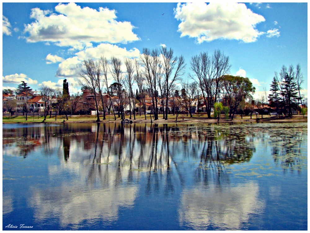 "Reflejos cordobeses" de Alicia Ferrara