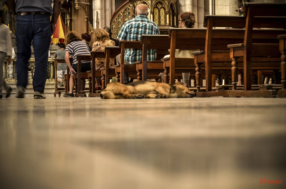 "La siesta" de Luis Fernando Somma (fernando)