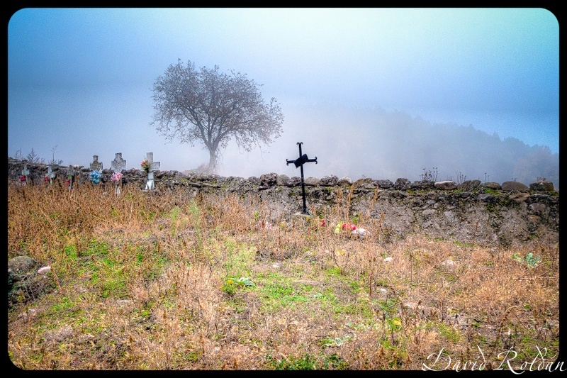 "El cementiri abandonat" de David Roldn