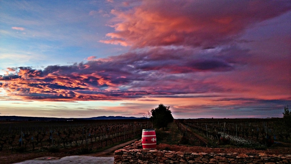 "atardecer" de Pascual Navarro