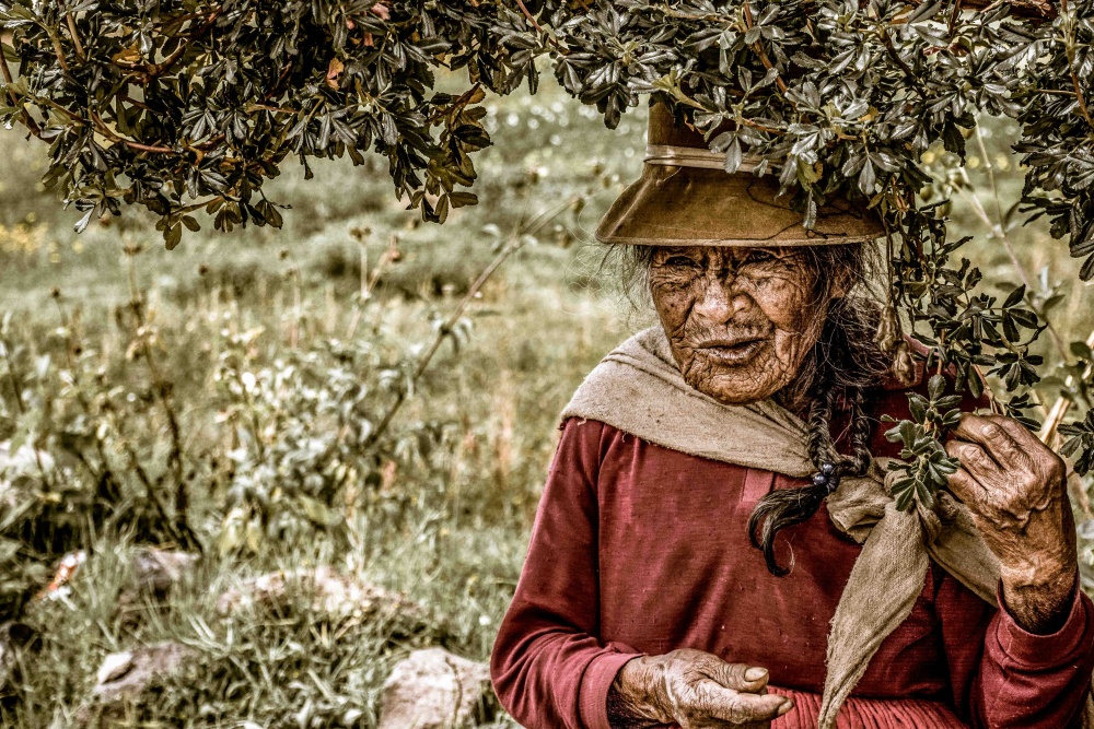 "Vida" de Nicols Echevarra