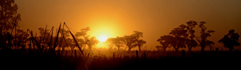 "Ocaso apaisado" de Monica Rollan