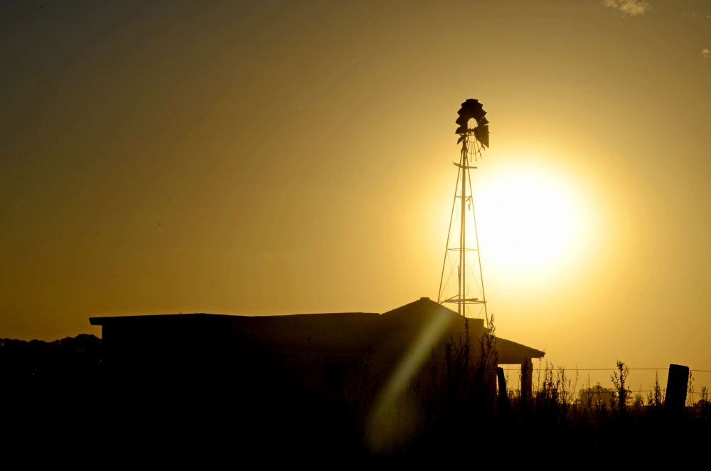 "Atardecer en el campo" de Monica Rollan