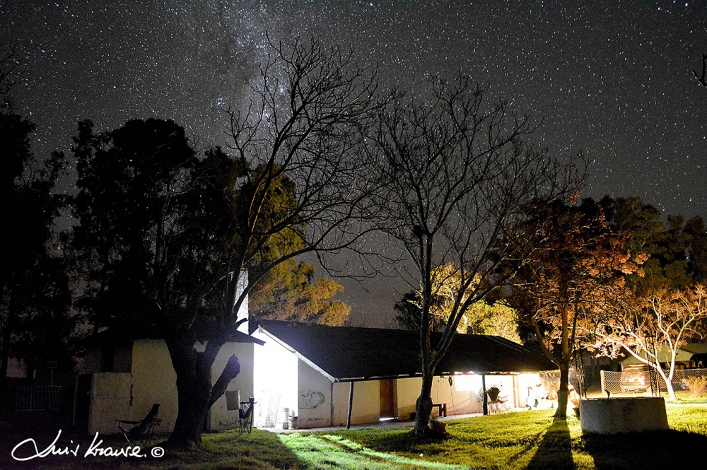 "Noche de paz" de Luis Orlando Krause