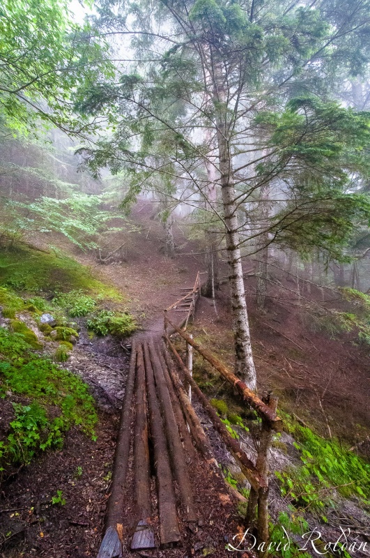 "Racons de Catalunya 0399 Vall d`Aran" de David Roldn