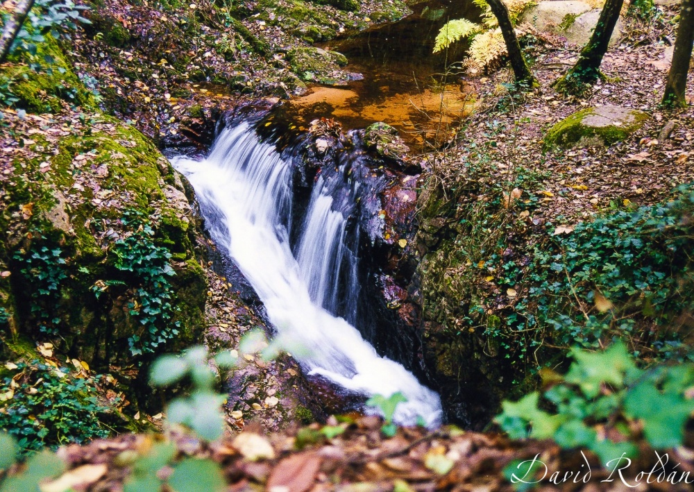 "Racons de Catalunya 006 Montseny" de David Roldn