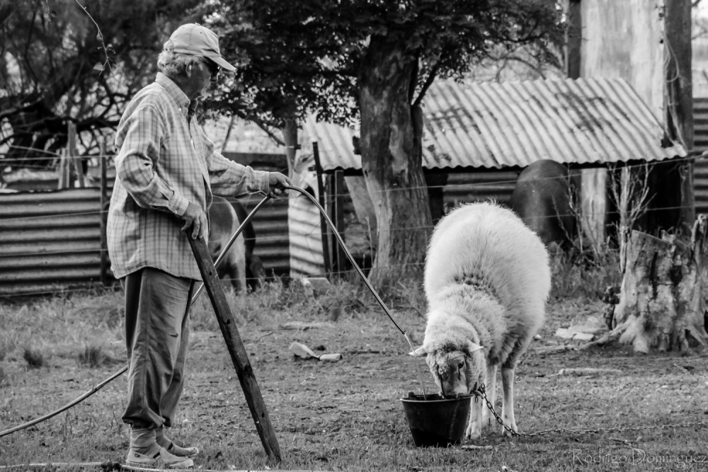 "Hombre de campo" de Rodrigo Dominguez