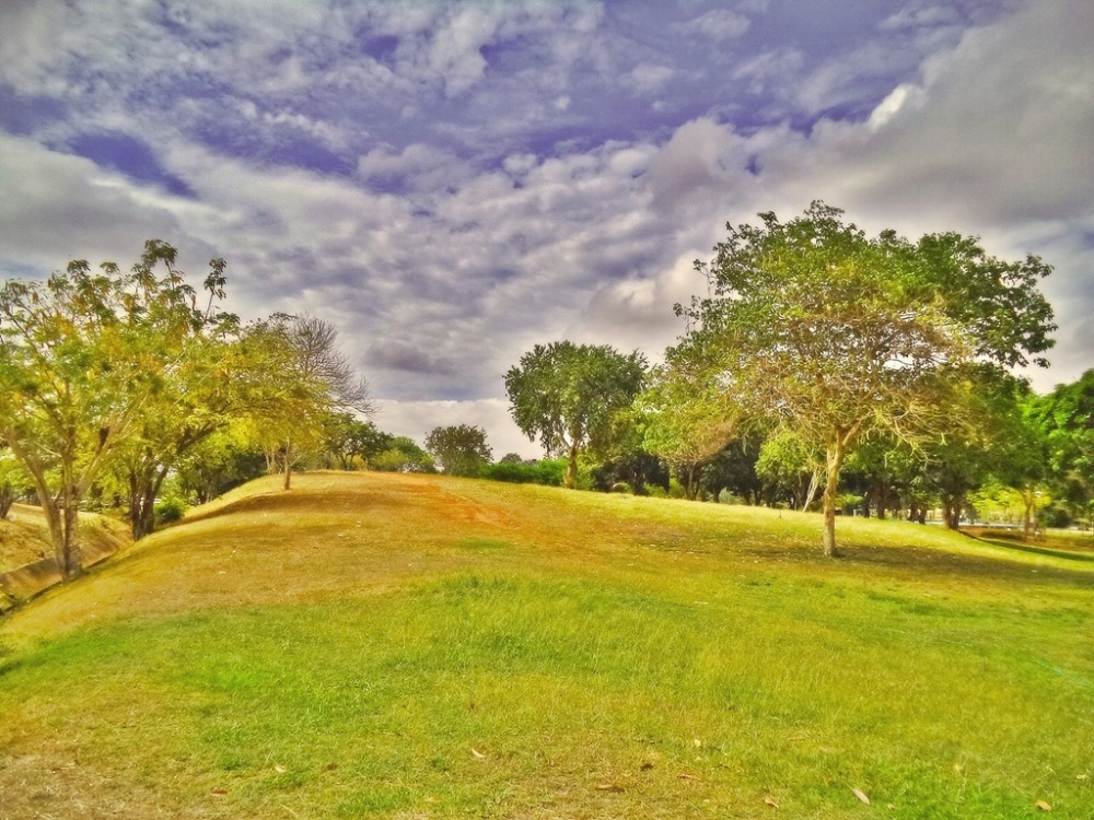 "Campo de Sueos" de Jonny Santo