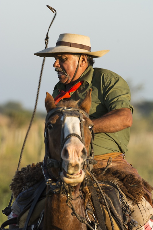 "Gaucho de ley" de Raquel Perazo