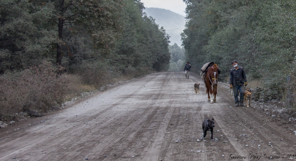 "De entre las cenizas" de Francisco Andres Torossian