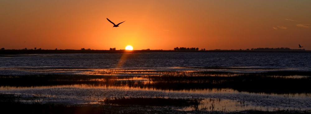 "Amanece sobre la laguna de Melincue 4" de Monica Rollan