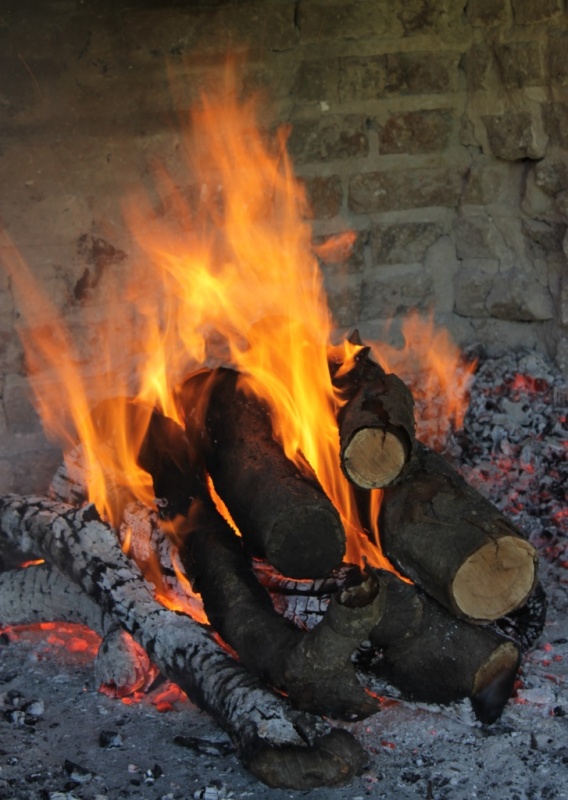 "Sale asado!" de Maca Ferreyra