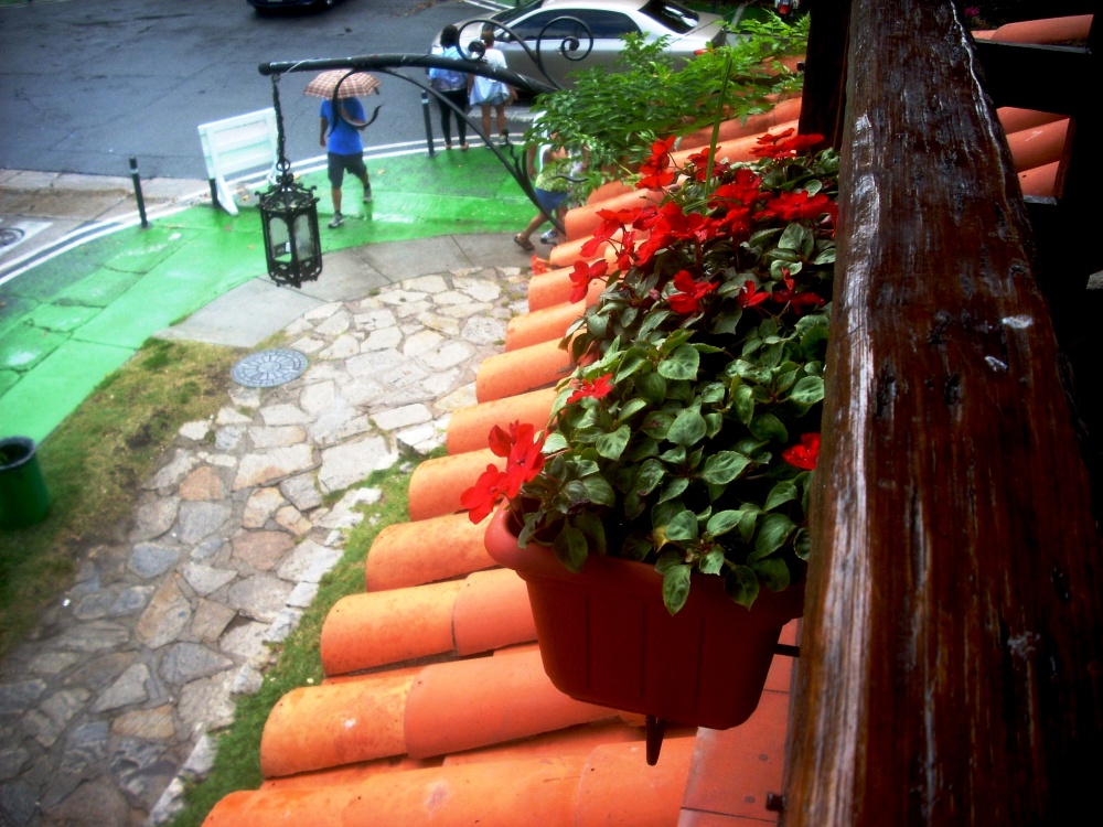 "donde va la gente cuando llueve" de Patricia Silvia Gil