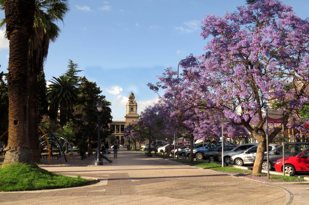 "`Un da por la plaza`" de Iris Elizabeth Scotto