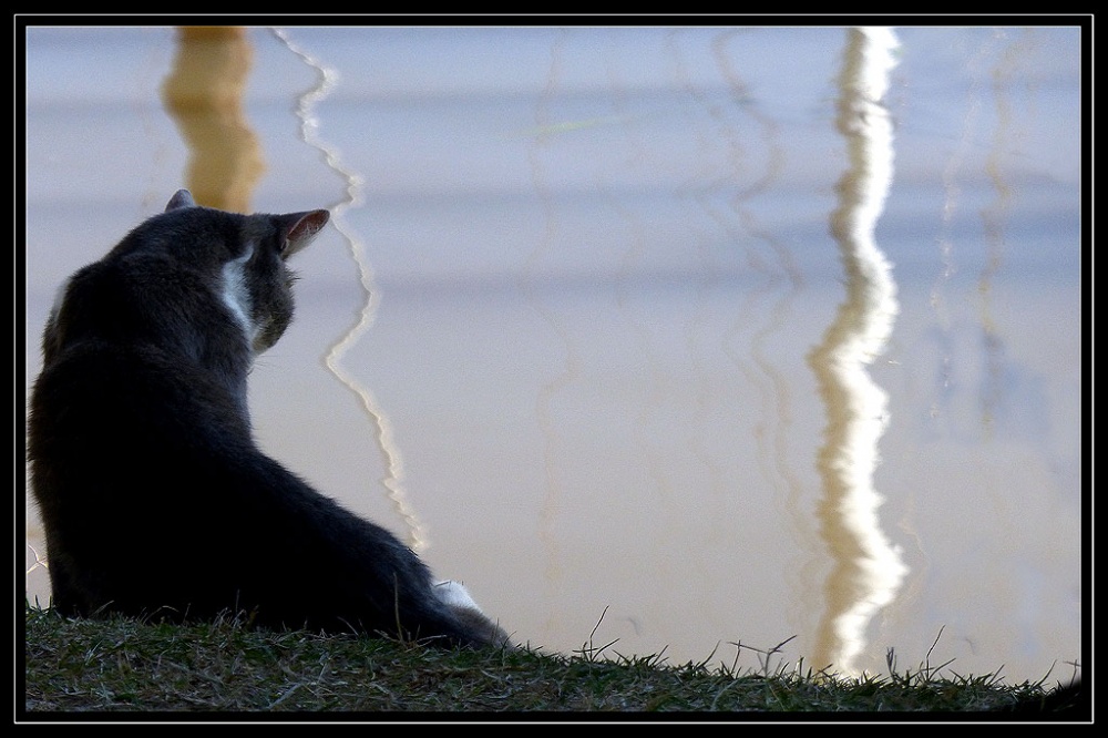 "Observando los reflejos" de Mascarenhas Cmara. Juan de Brito