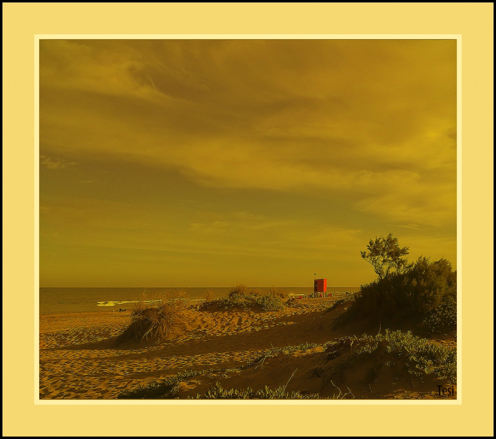 "Una tarde de playa" de Tesi Salado