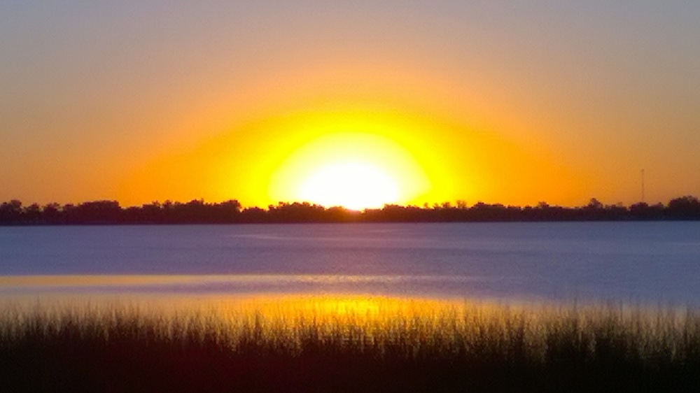 "Oro , Laguna de Monte" de Sergio Daniel Martinez