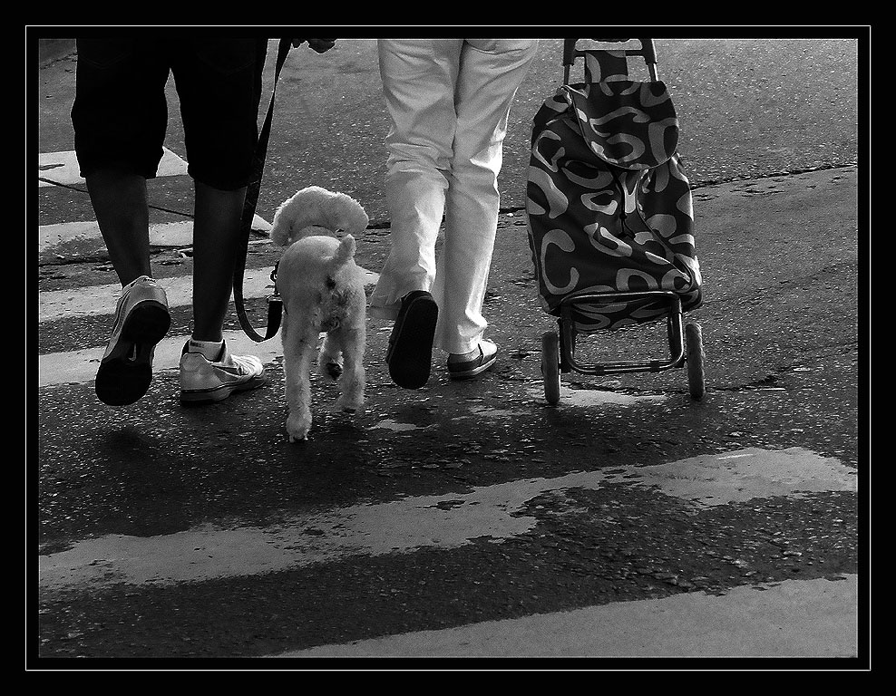 "Vamos todos de compras" de Mascarenhas Cmara. Juan de Brito