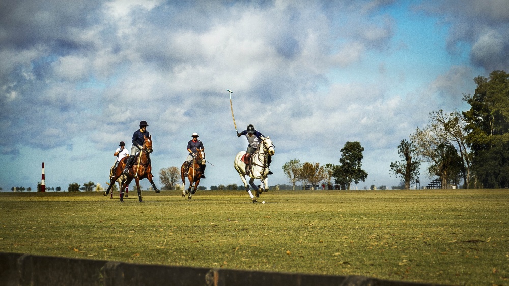 "Polo" de Ricardo Wychlo