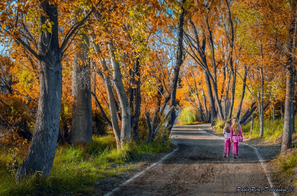 "Hermanas" de Pablo Perez Dellepiane