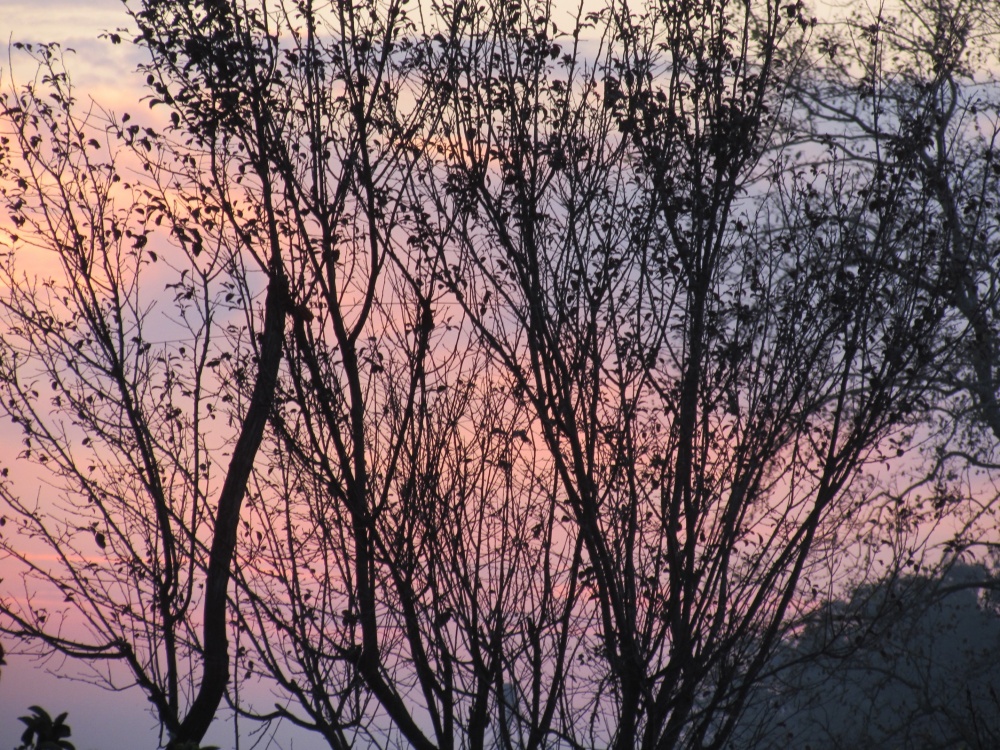 "Cielo multicolor" de Victor Osmar Quiones