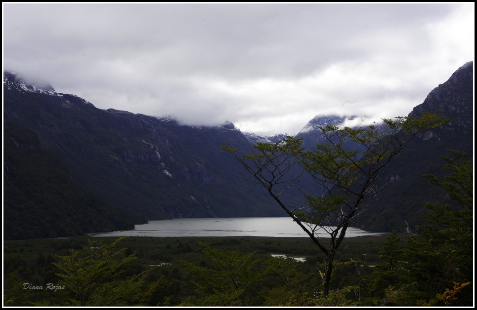 "Lago Bayo" de Diana Rojas