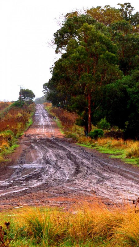 "Camino Rural" de Fernan Godoy