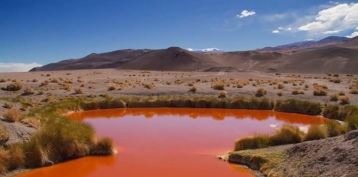 "ojo del salar" de Edith Polverini