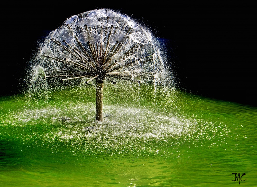 "rbol de agua!!!" de Jorge Alberto Coccolo