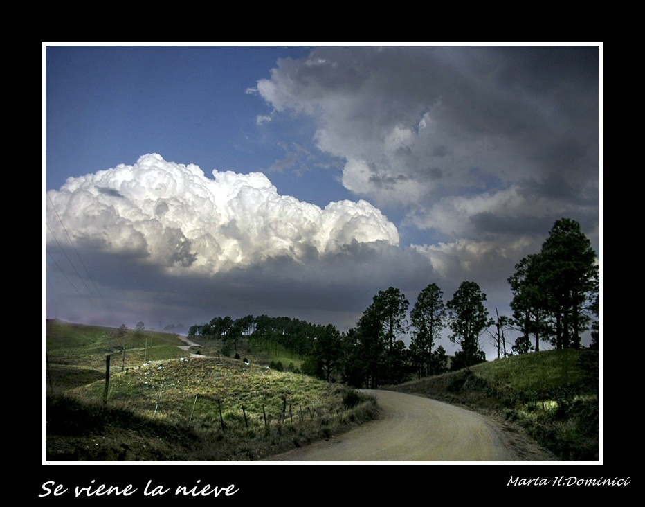 "Se Viene la Nieve" de Marta Dominici