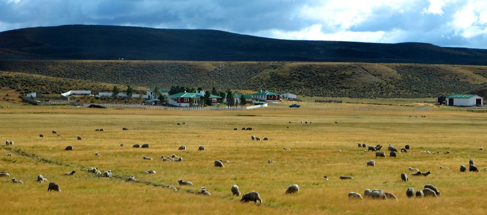 "Campo Sur" de Alberto Jara