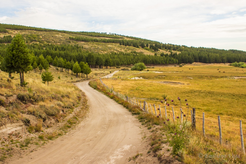 "Paseando por Esquel" de Emiliano Vega