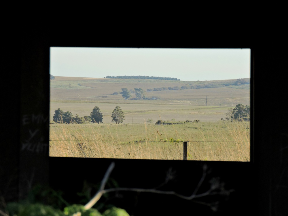 "ventana" de Sandro Brisa