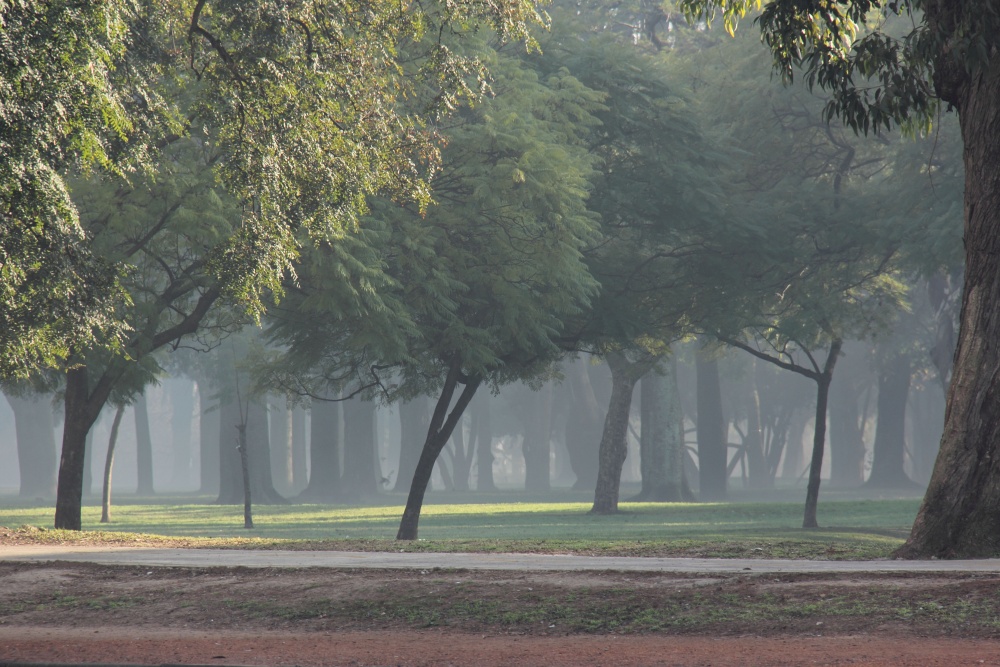 "Temprano en la plaza" de Natalia Harosteguy