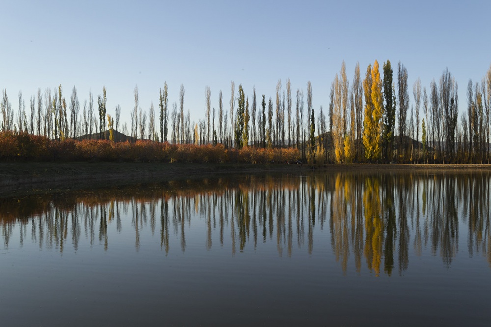 "Reflejos de Atamisque" de Angel Rivero