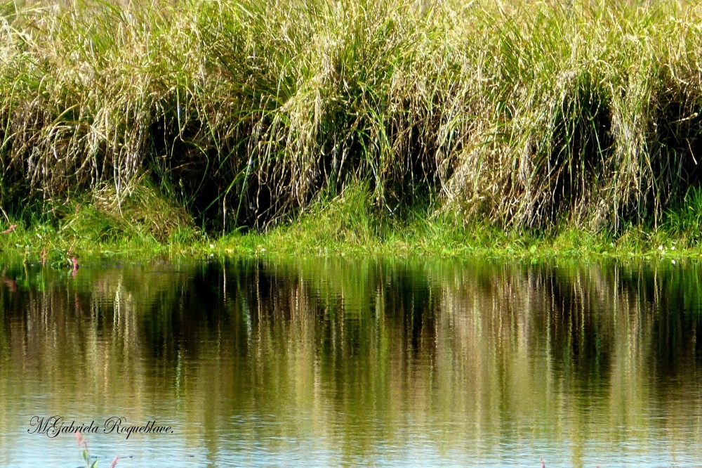 "Reflejos" de Gabriela Roqueblave