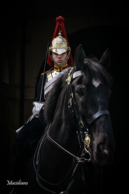 "Horse Guards" de Carloman Macidiano Cspedes