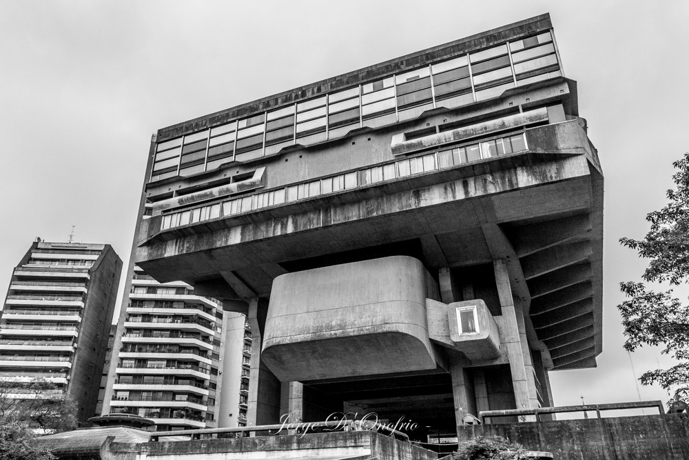 "La Biblioteca" de Jorge Donofrio