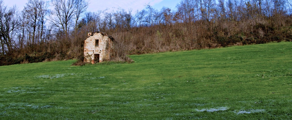 "rudere" de Leonardo Perissinotto