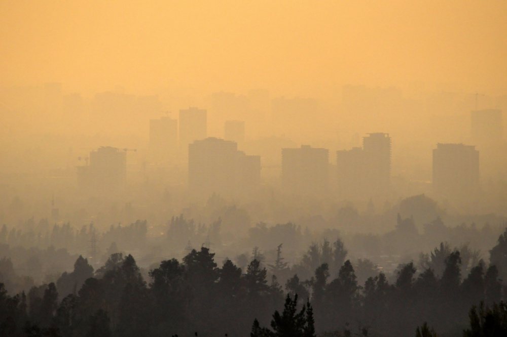 "Niebla" de Beatriz Franchini