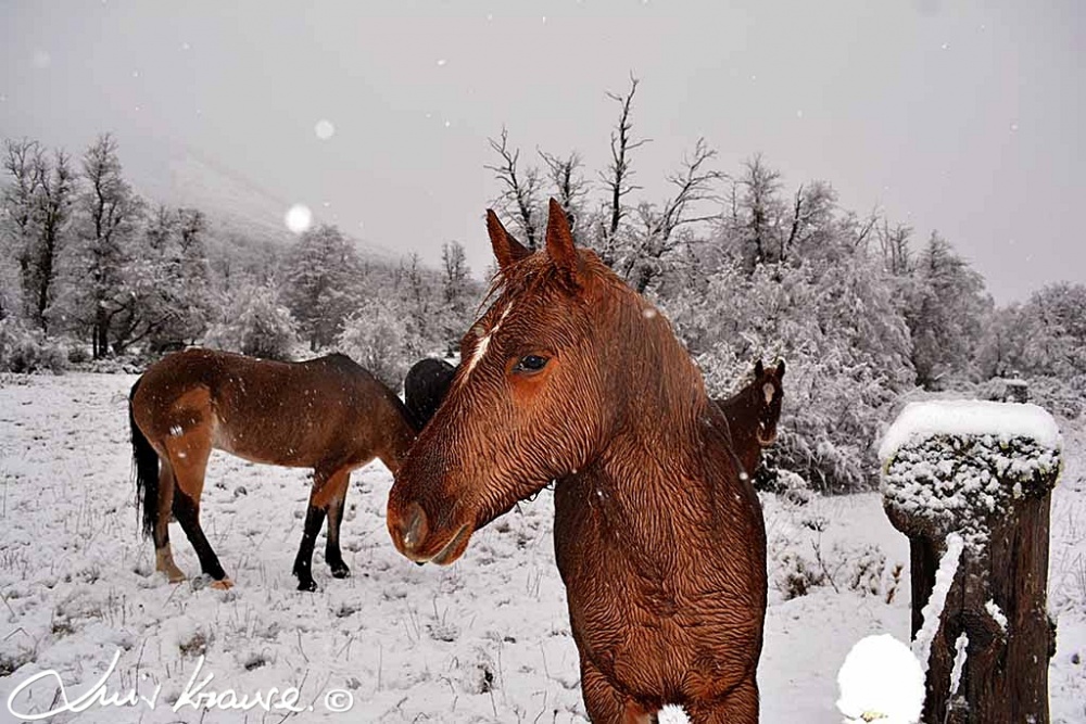 "Invierno" de Luis Orlando Krause