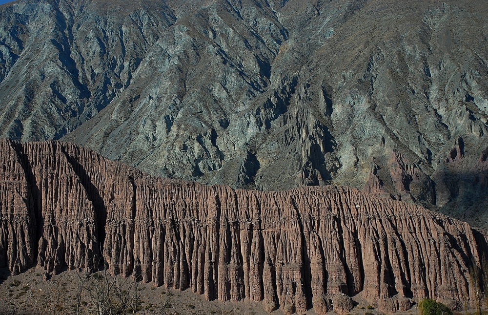 "`Texturras naturales`" de Maria Teresa Mondino