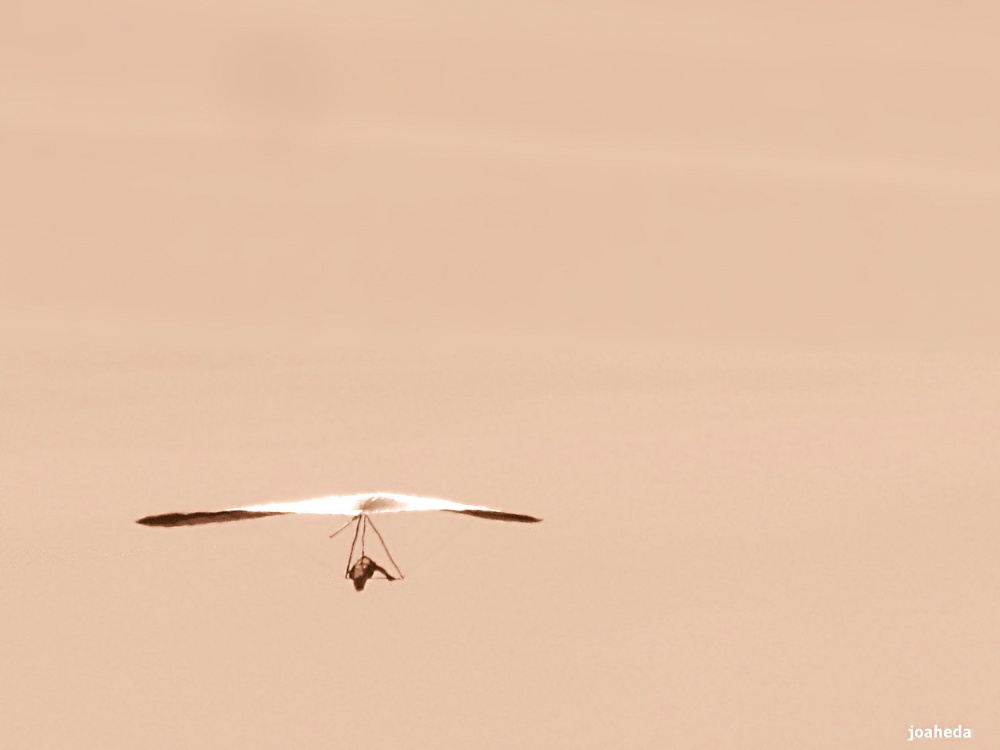 "VoLaR" de Joana Sansalvador Roca