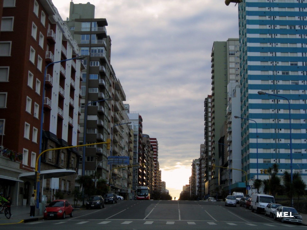 "Av. Pedro Luro" de Mabel Ester Lattanzi