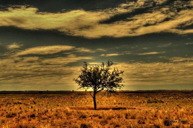 "En solitario" de Fabian Biondi