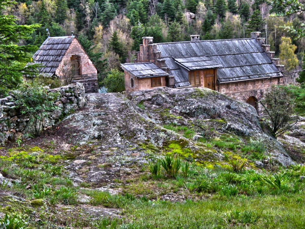 "La casita del bosque" de Carlos D. Cristina Miguel