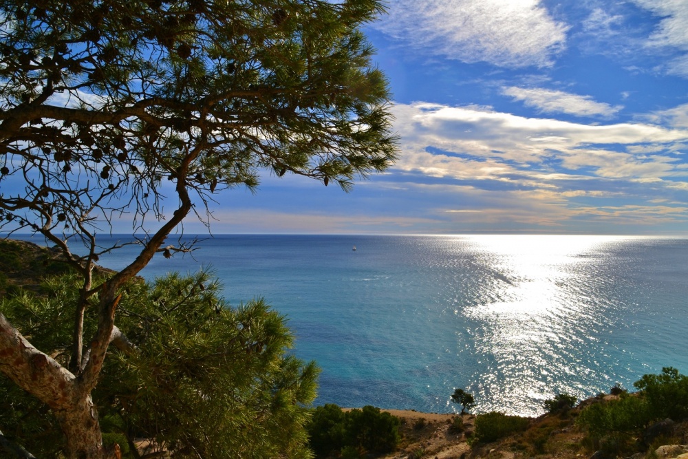 "**Mirando al Mar soe.......**" de Antonio Snchez Gamas (cuky A. S. G. )