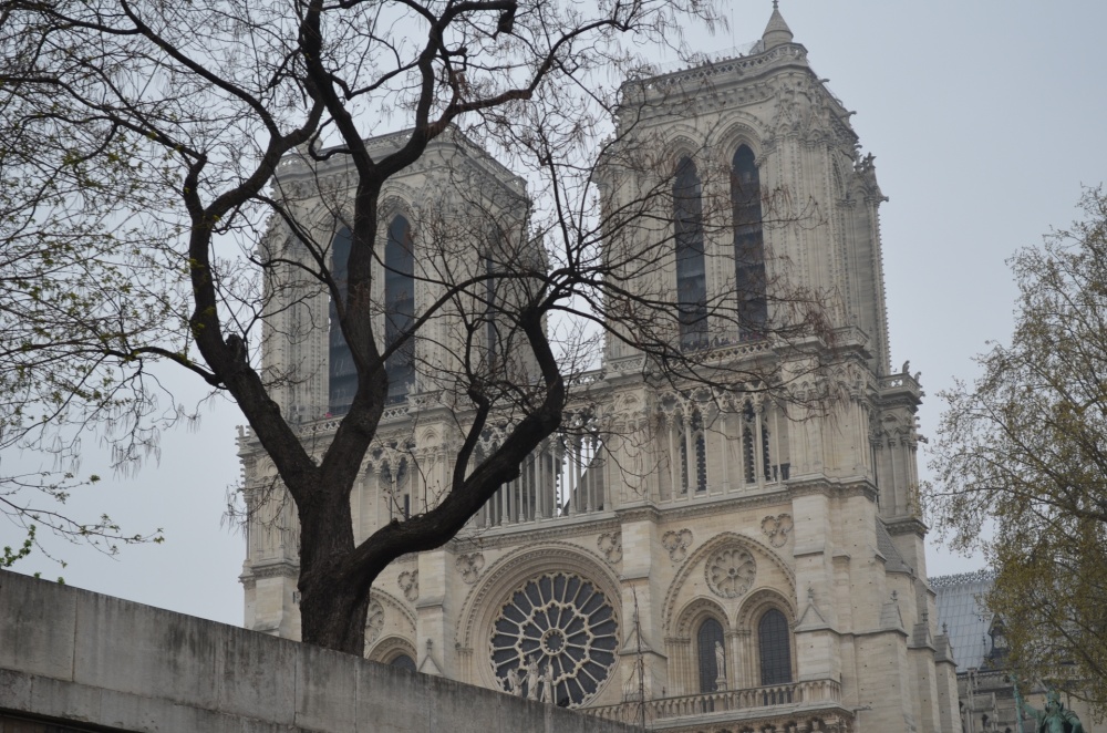 "Notre Dame" de Jorge Luis Klala