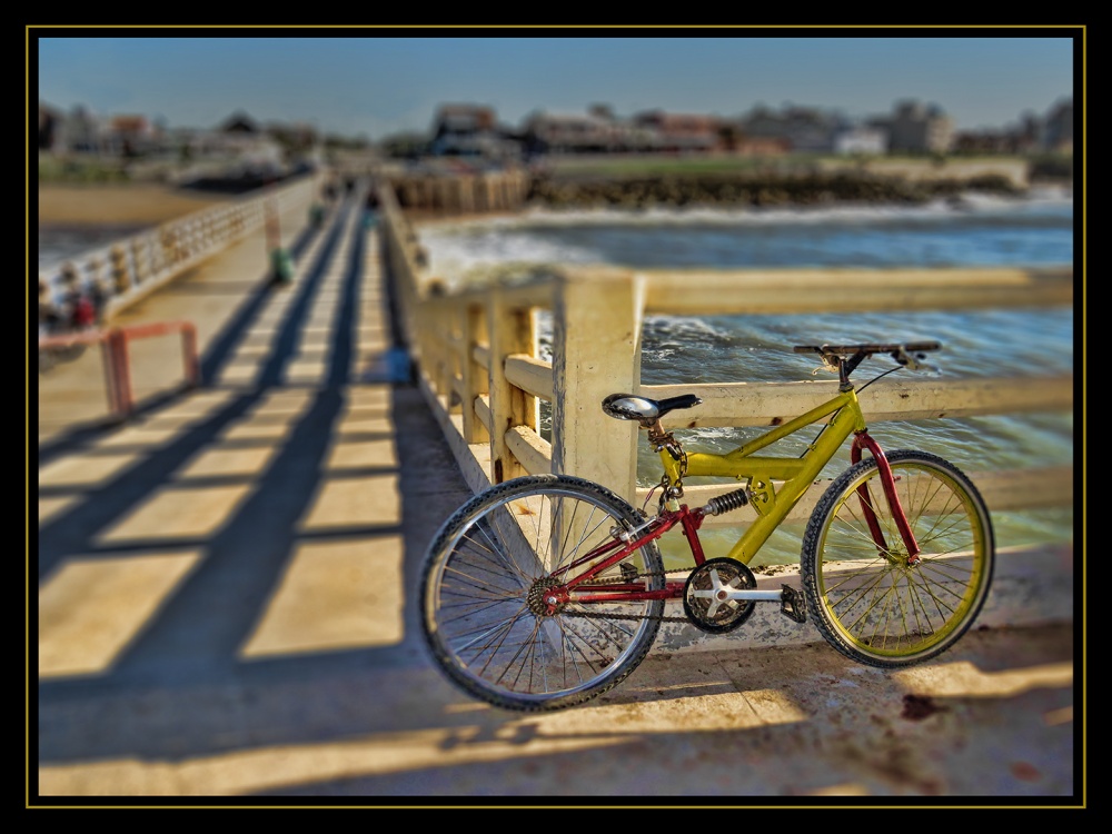 "Bici Playera" de Juan Carlos Demasi